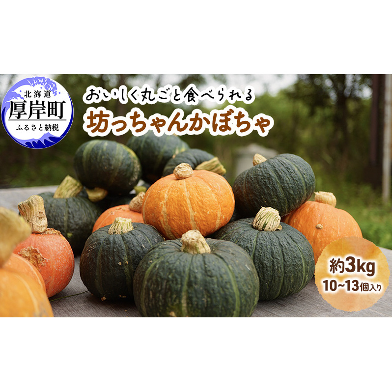 厚岸ハスカ 坊ちゃんかぼちゃ 約3kg(10〜13個入り)