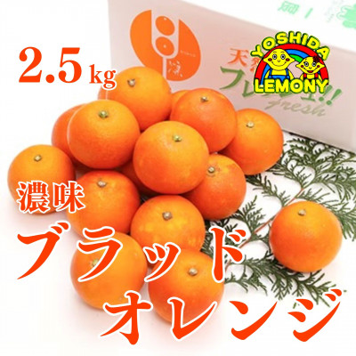 濃味ブラッドオレンジ 2.5kg
