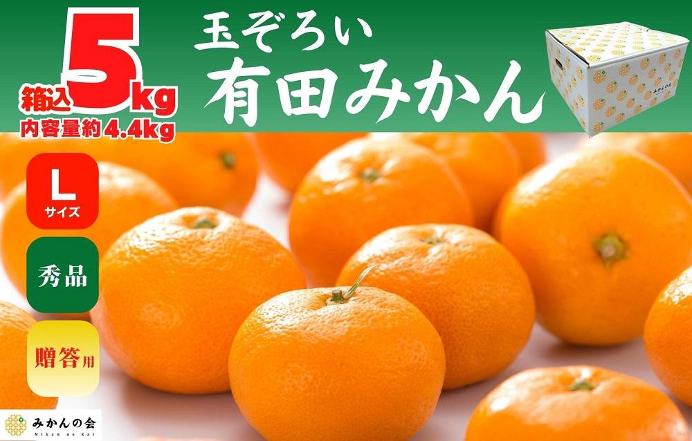 愛媛県ブラッドオレンジ中〜小玉 箱込み約5kg - 果物
