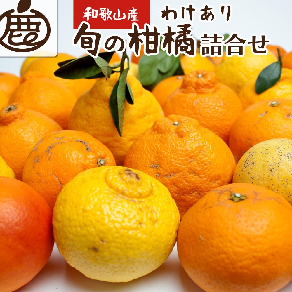 旬の柑橘詰合せ2kg+60g(傷み補償分)[家庭用 訳あり 先行予約]