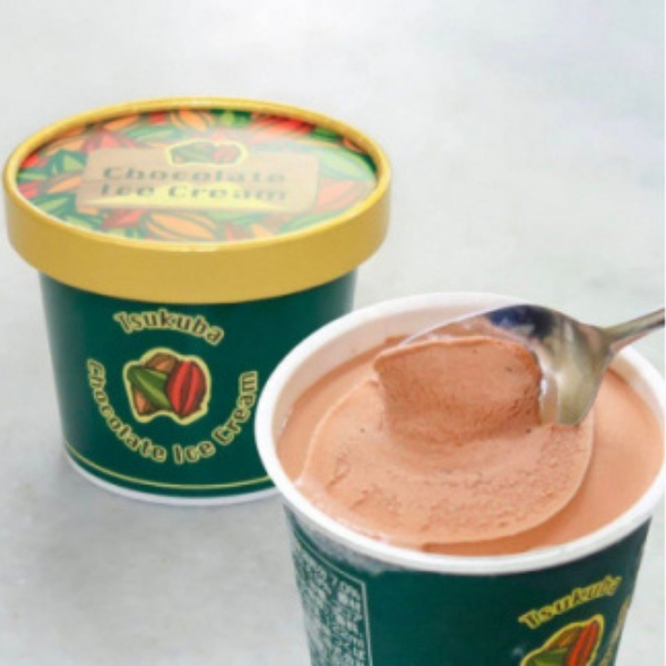 チョコレートアイスクリーム(122ml×12個)[離島・沖縄配送不可][配送不可地域:離島・沖縄]
