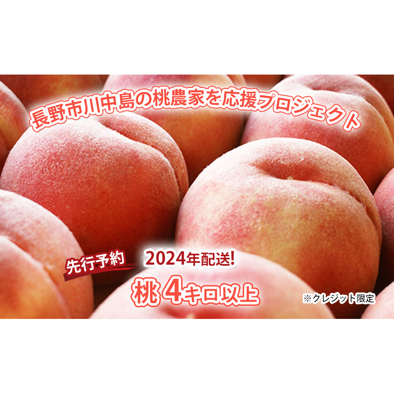 [先行予約]長野市川中島の桃農家を応援プロジェクト 2024年配送!桃4キロ以上 ※クレジット限定