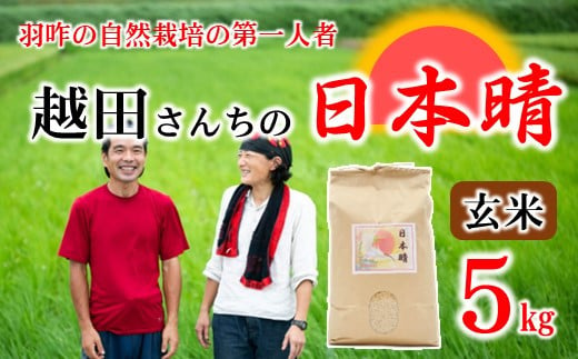 [A157] 自然栽培米 越田さんちの日本晴(玄米)5kg