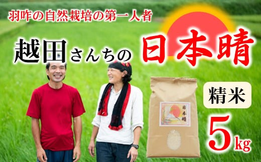 [A159] 自然栽培米 越田さんちの日本晴(精米)5kg