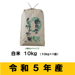 [令和5年産]奥信濃飯山〜木内ファームのお米〜 10キロ (5-40A)