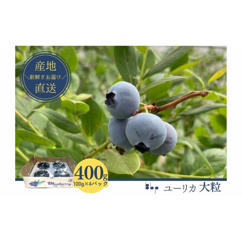 [栽培期間中農薬不使用]フレッシュブルーベリー (ユーリカ大粒100g×4)